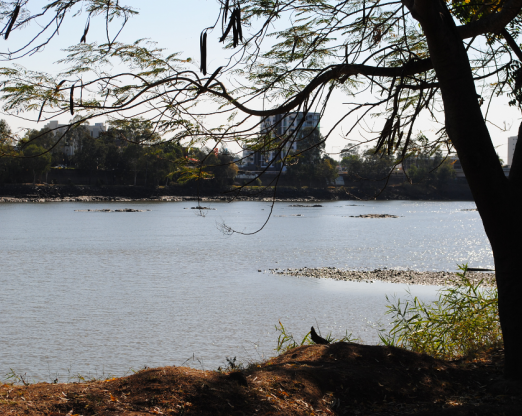 Fitzroy River